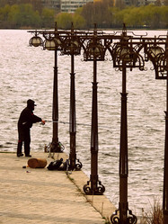 Similar image 11424231