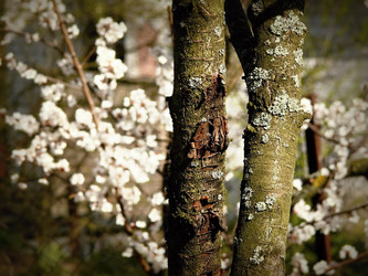 Similar image 11424283