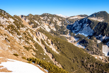 Similar image 11424073