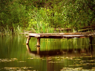 Similar image 11424252