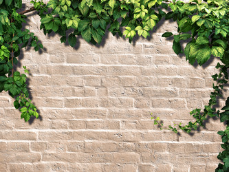 Similar image 11423050