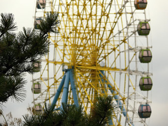 Similar image 11424266