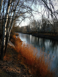 Similar image 11424269