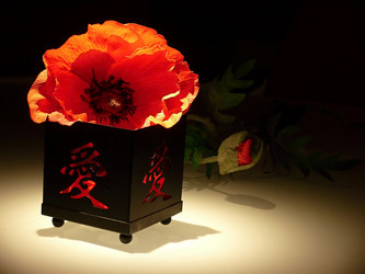 Similar image 11424274