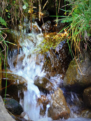 Similar image 11424288