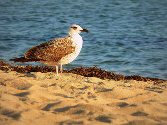 Similar image 11424289