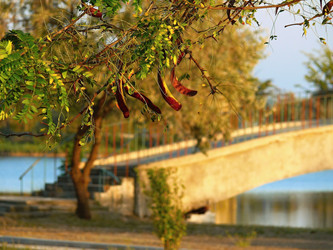 Similar image 11424291