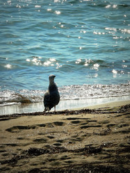 Similar image 11424292