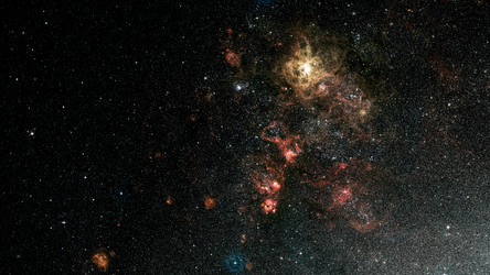 Similar image 11425190