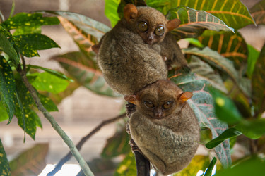 Similar image 11423783