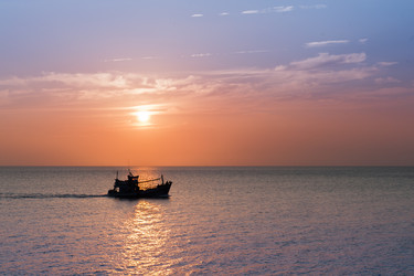 Similar image 11423807