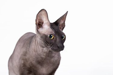 Similar image 11423768