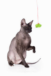 Similar image 11423770