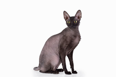 Similar image 11423771