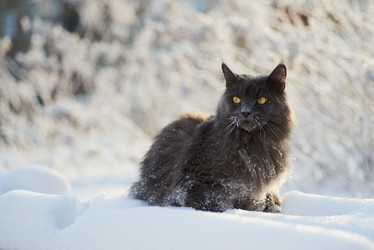 Similar image 11423772