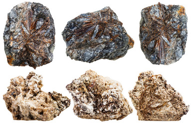 Similar image 11424390