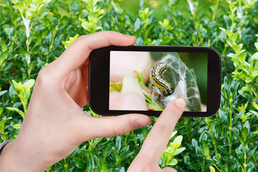 Similar image 11424399