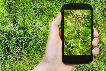 Similar image 11424401