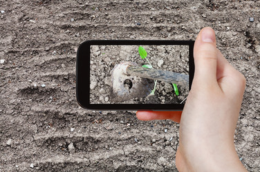 Similar image 11424437