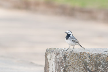 Similar image 11423808