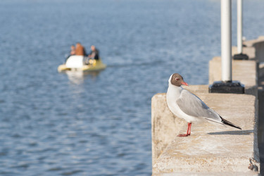 Similar image 11423811