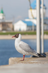 Similar image 11423836