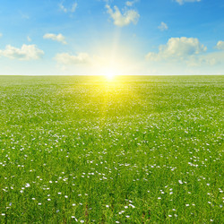 Similar image 11423936