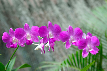 Similar image 11423937