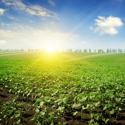 Similar image 11423940