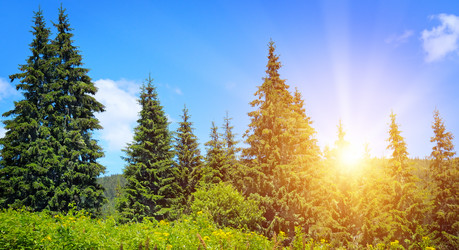 Similar image 11423942