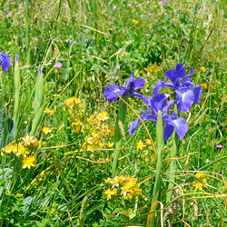 Similar image 11424556