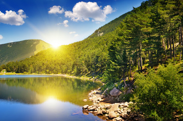 Similar image 11424561