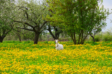 Similar image 11423926