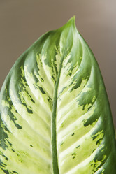 Similar image 11423776