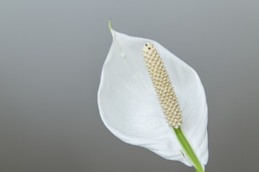 Similar image 11423778