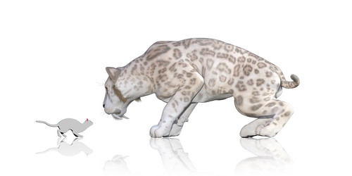 Similar image 11428062