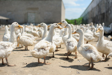 Similar image 11423976