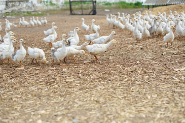 Similar image 11423977