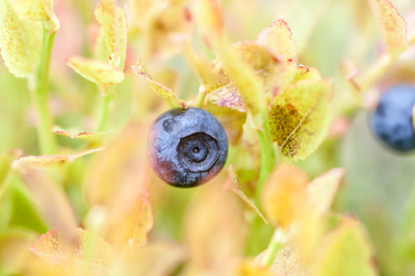 Similar image 11427194