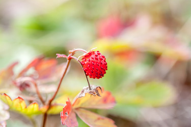 Similar image 11427195