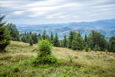 Similar image 11427196