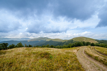 Similar image 11427200