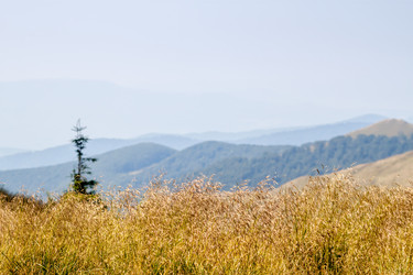 Similar image 11427203