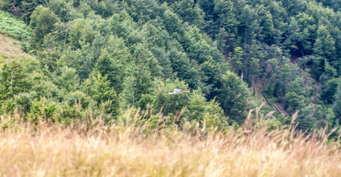 Similar image 11427213