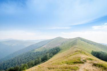 Similar image 11427215