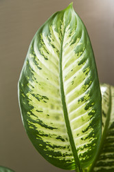 Similar image 11424695