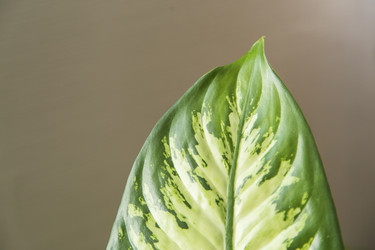 Similar image 11424696