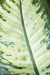 Similar image 11424697