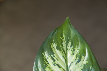 Similar image 11424703