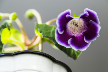 Similar image 11424711